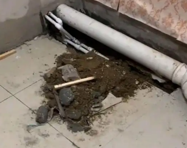 宁化卫生间漏水检测哪家好