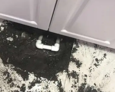 宁化查漏水哪家好